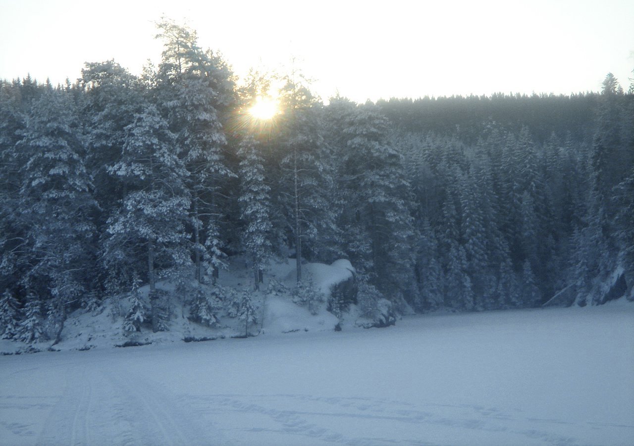 Kort dag ved Røyrivann