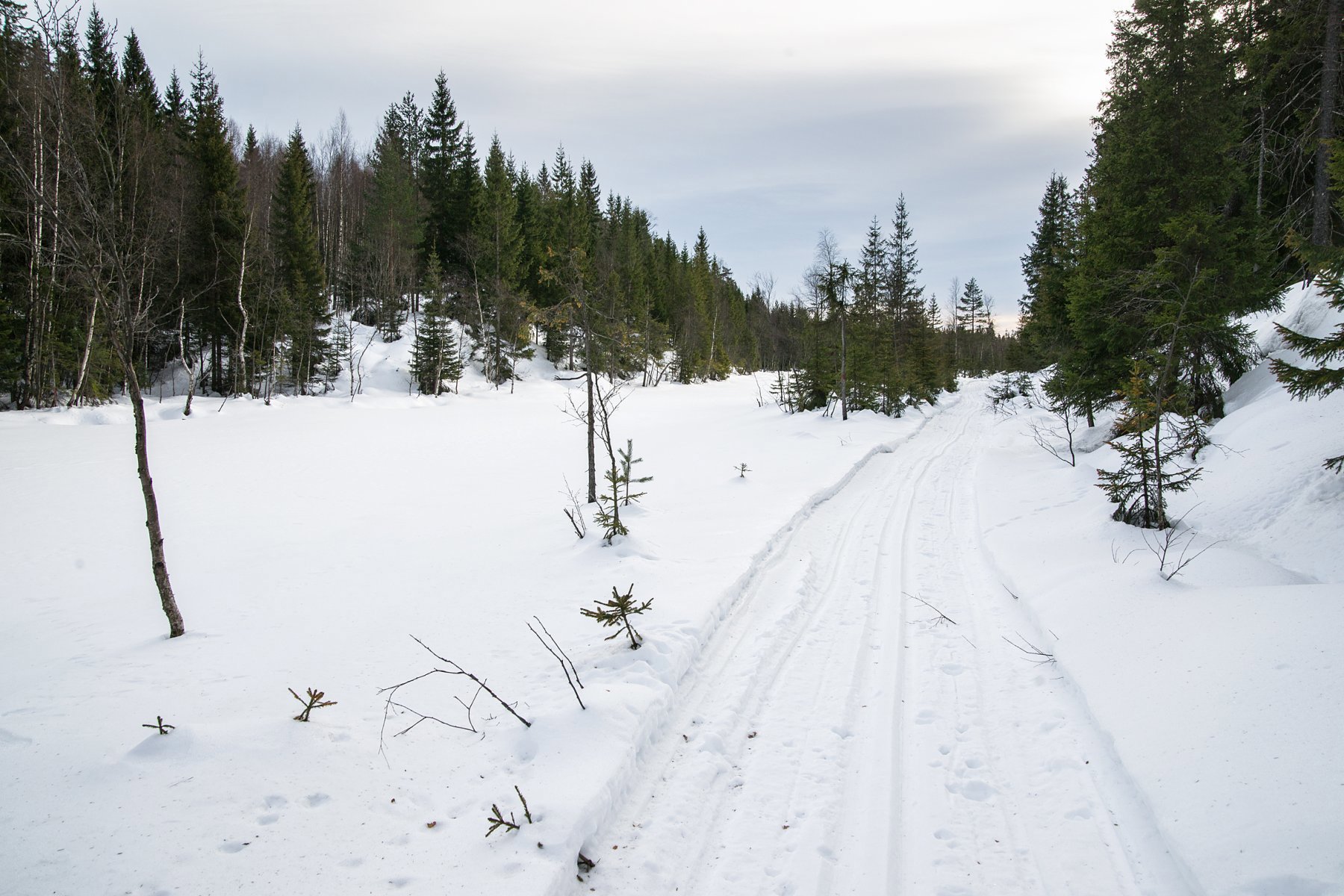 Koselig scooterløype