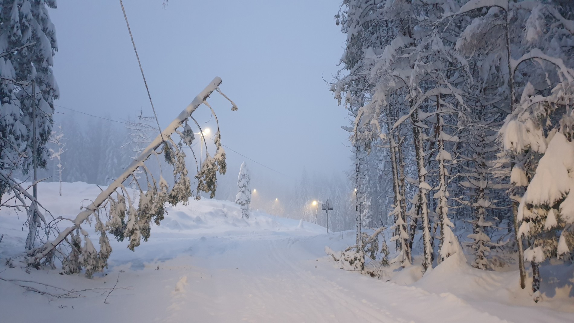Kraftig snøfall i Vestmarka