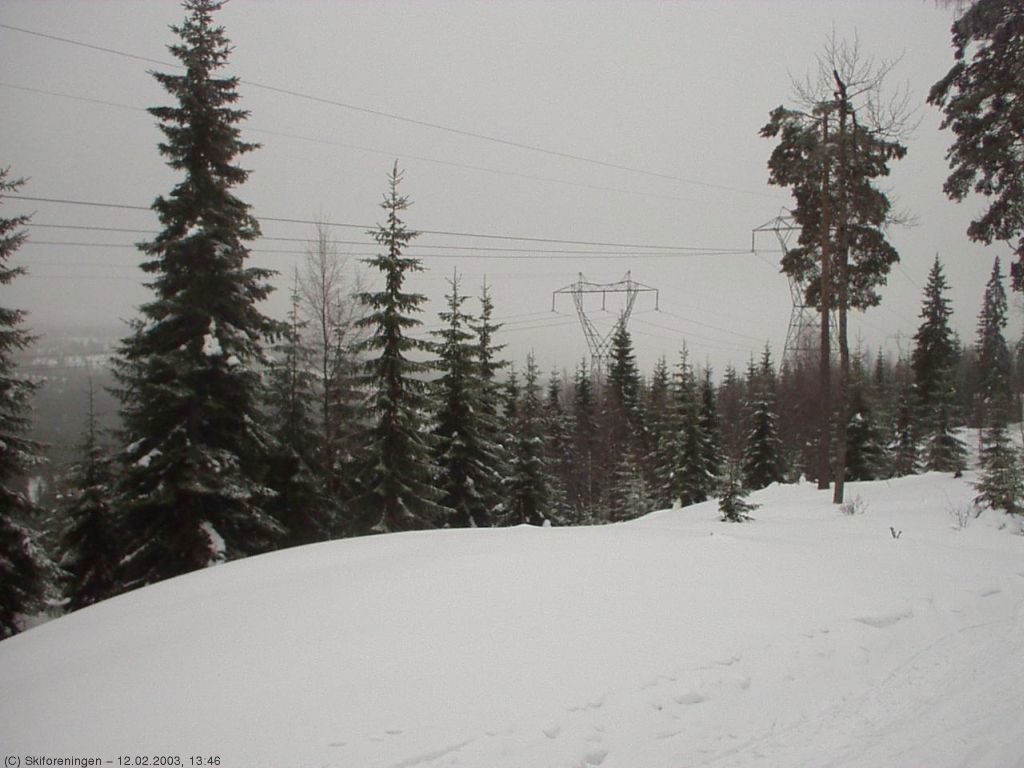 Kraftledningen over Dølerudhøgda
