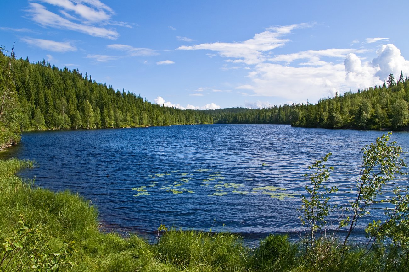 Krusninger på Toreren