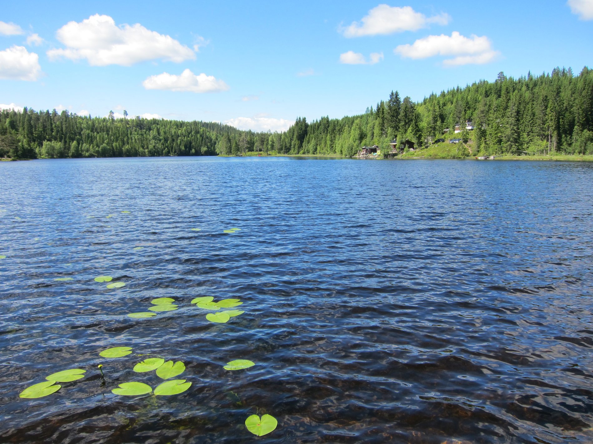 Krusninger på Vesle Byua