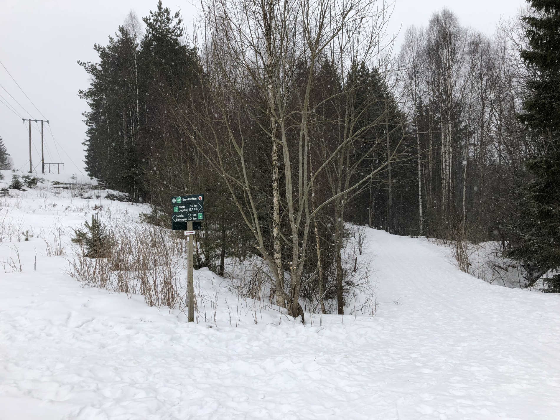 Kryss ved Brevikbråten