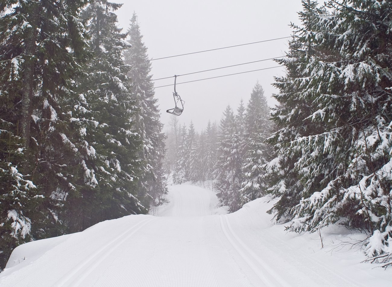 Kryssende interesser