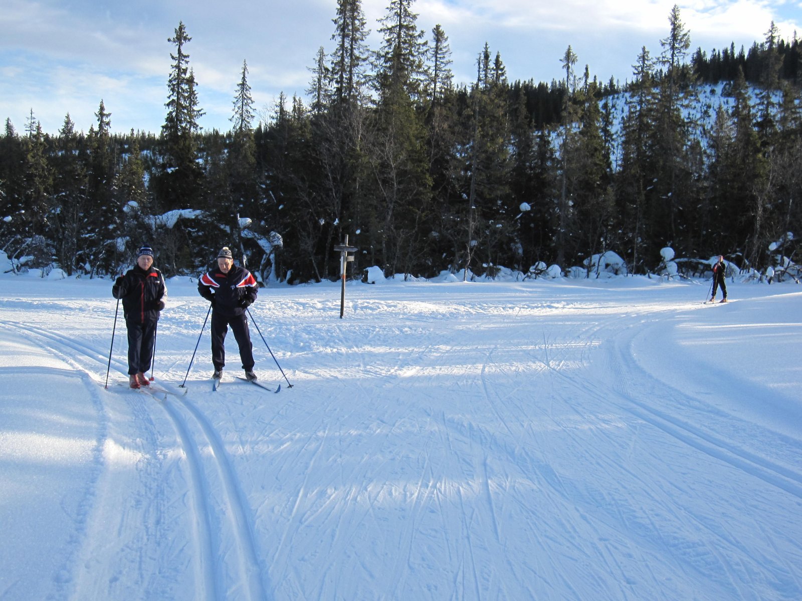 Krysset ved Lushaughytta