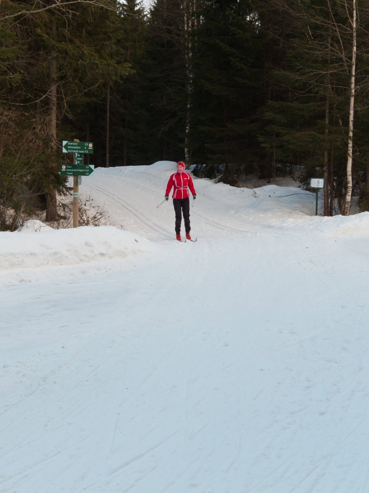 Kryssing av Gupuveien