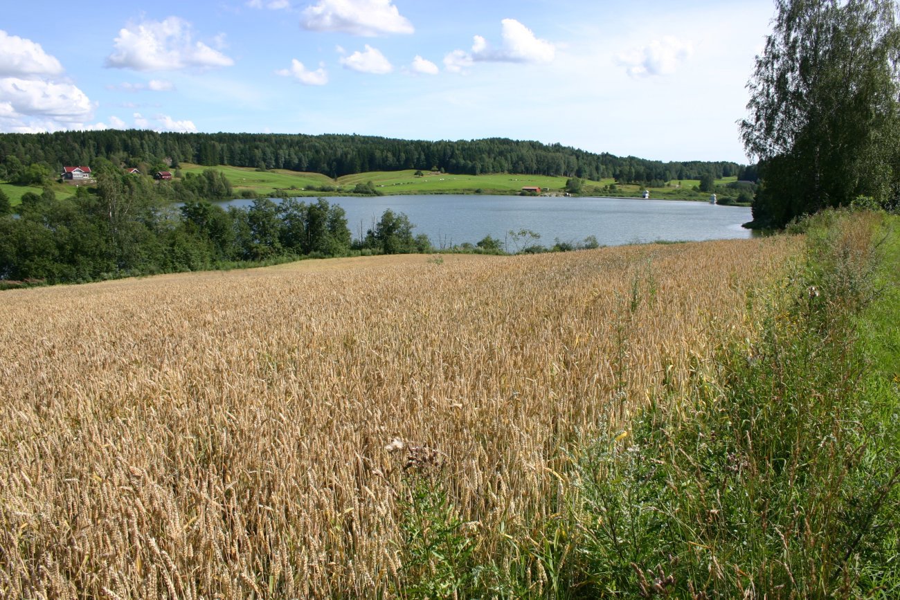 Kulturlandskap ved Årungen