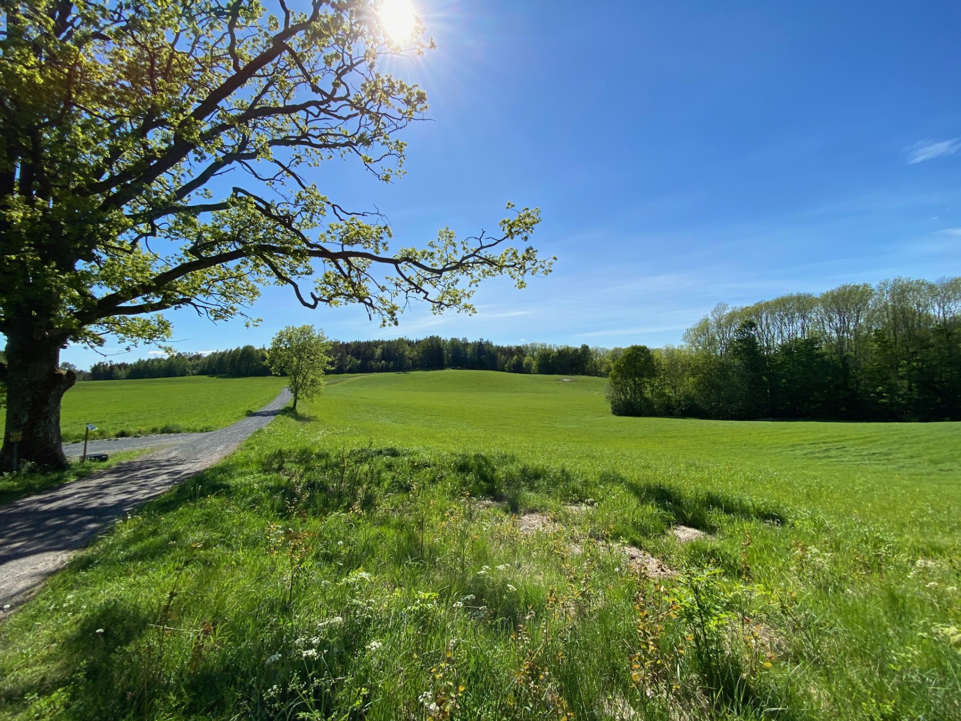 Kulturlandskapet i Holtnesdalen