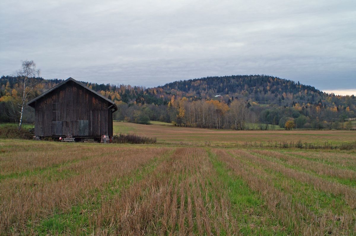 Kulturlandskapet nord i Dælidalen