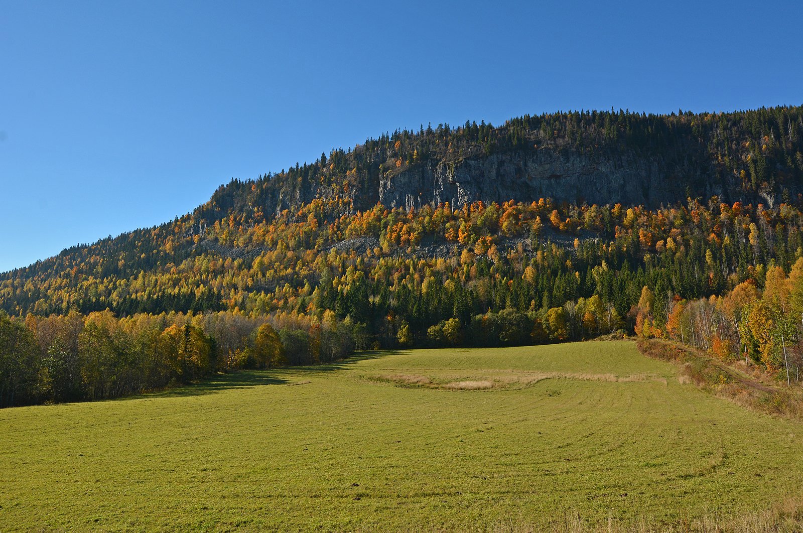 Kulturminnevandringen 2013: Ramsåsen sett fra Jordbru