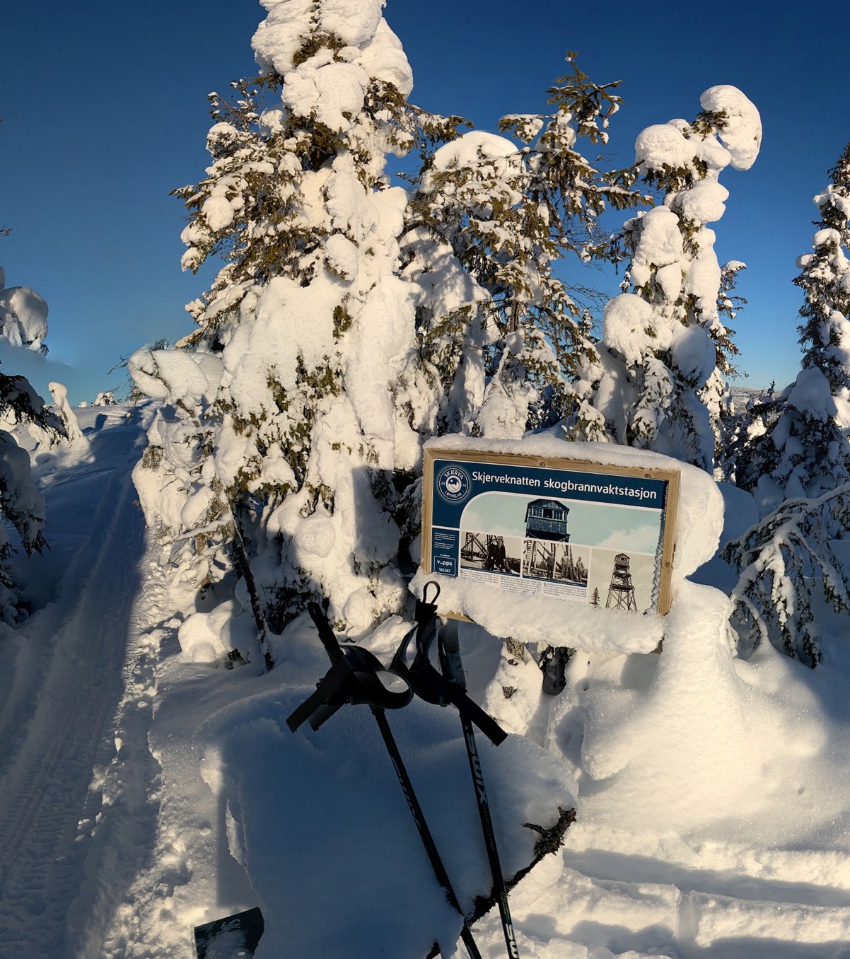 Kulturskiltet på Skjerveknatten