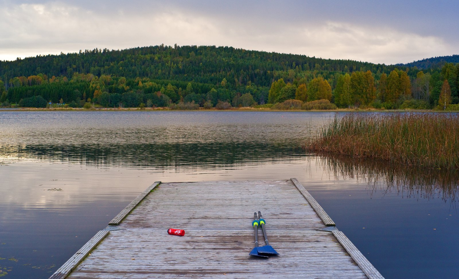 Kun én ting mangler