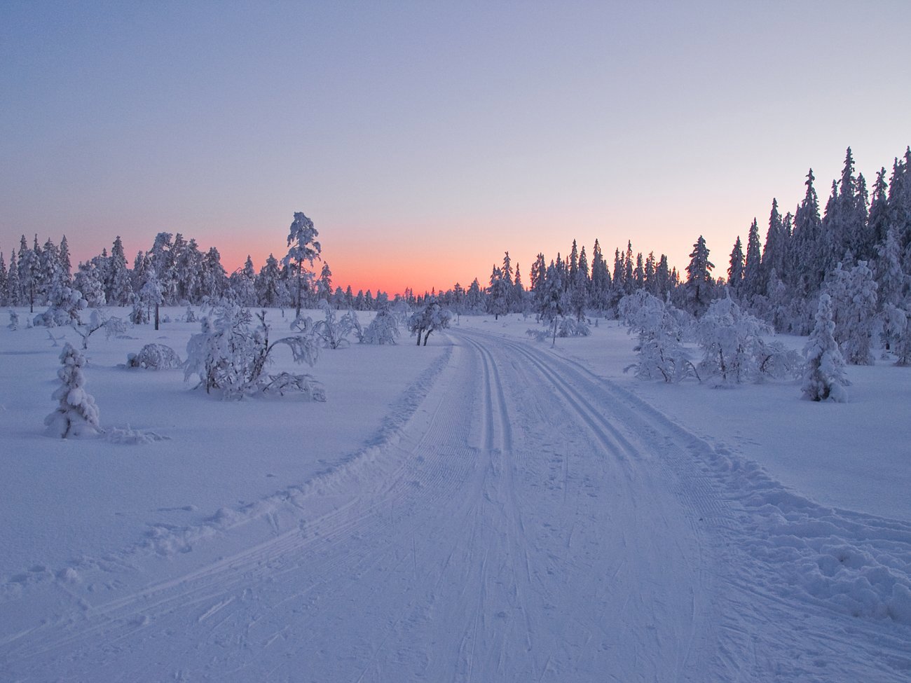 Kveld ved Fjortentjernsmyrene