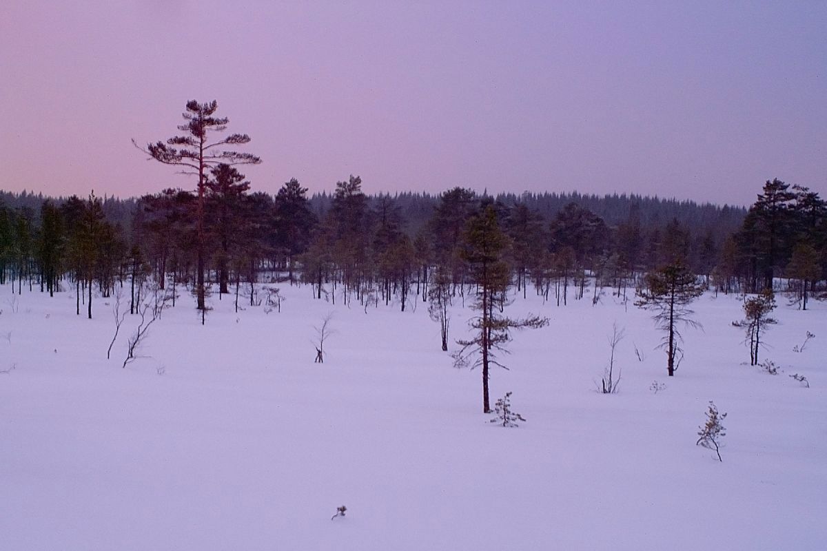 Kveld ved Jordmyrane