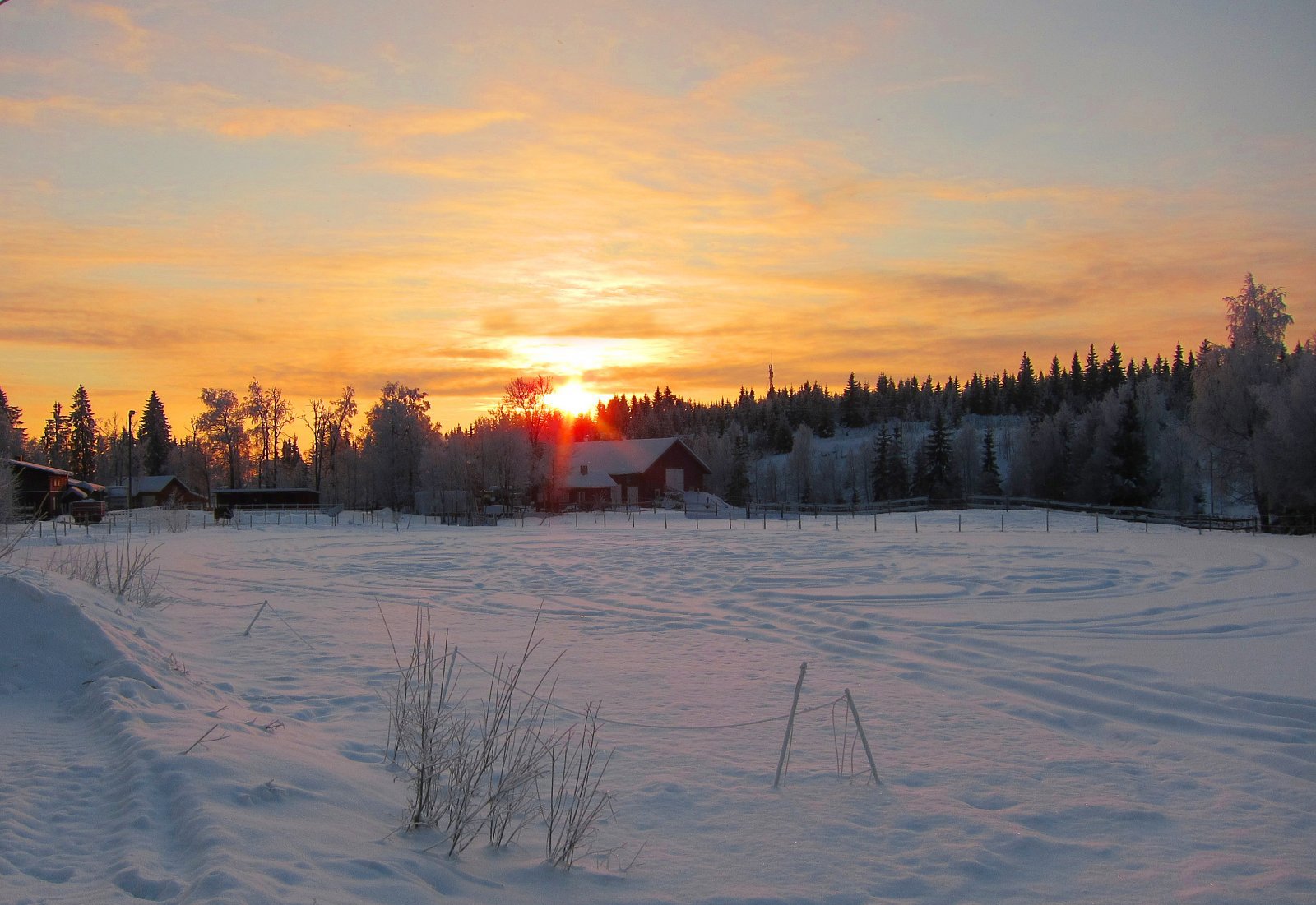 Kvelden kom tidlig på Høymyr