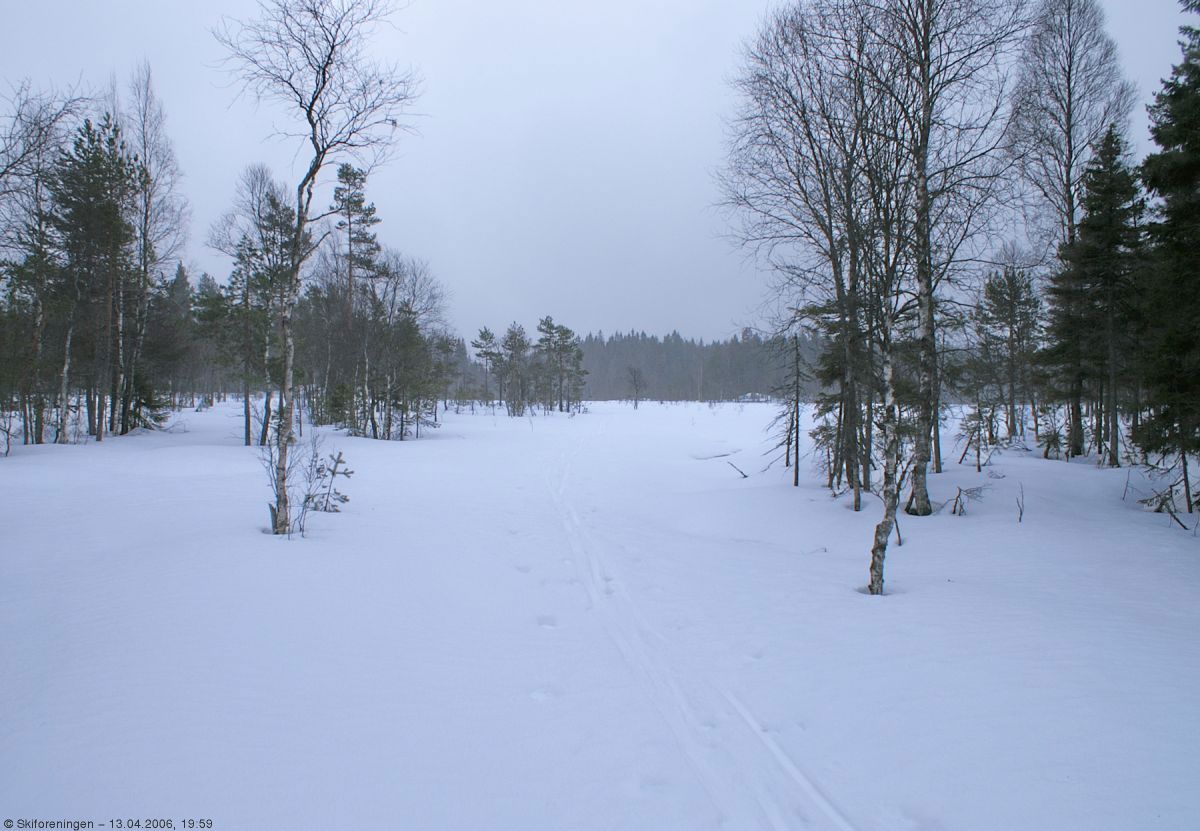 Kvelden senker seg over Skogsmosen