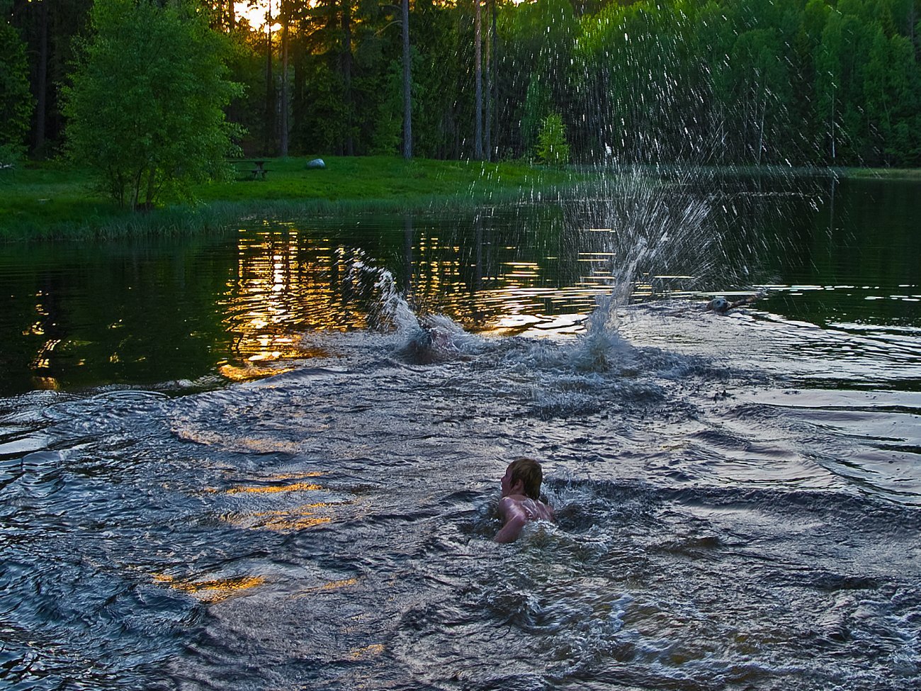 Kveldsbad i Vesledammen