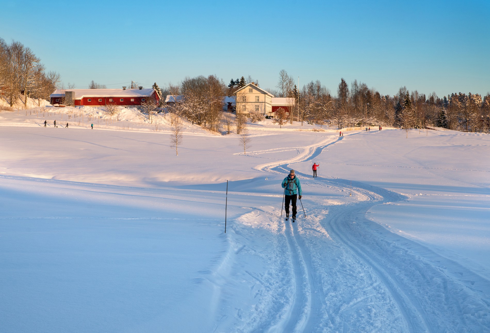 Kveldslys på Grinijordene