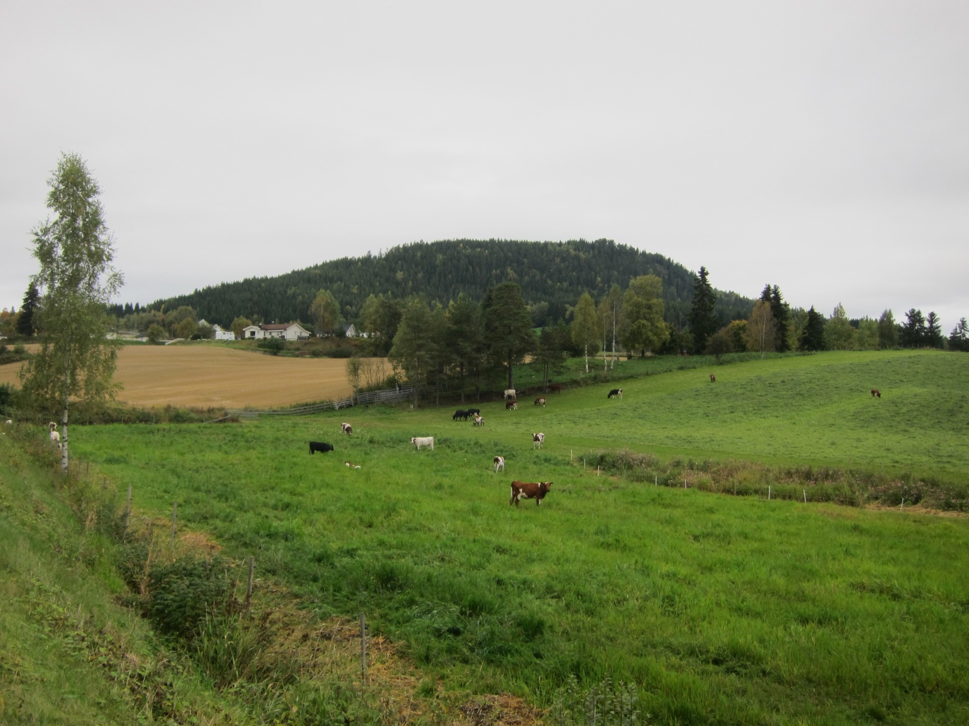 Kveldsmat ved Sølvsberget