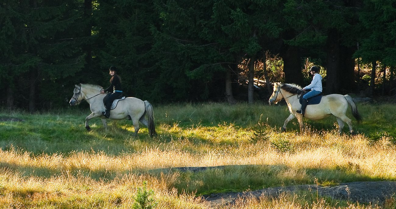 Kveldsridning på Retthelleseter