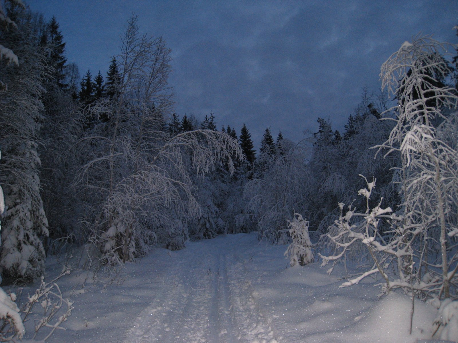 Kveldstrolsk i Valstadløypen
