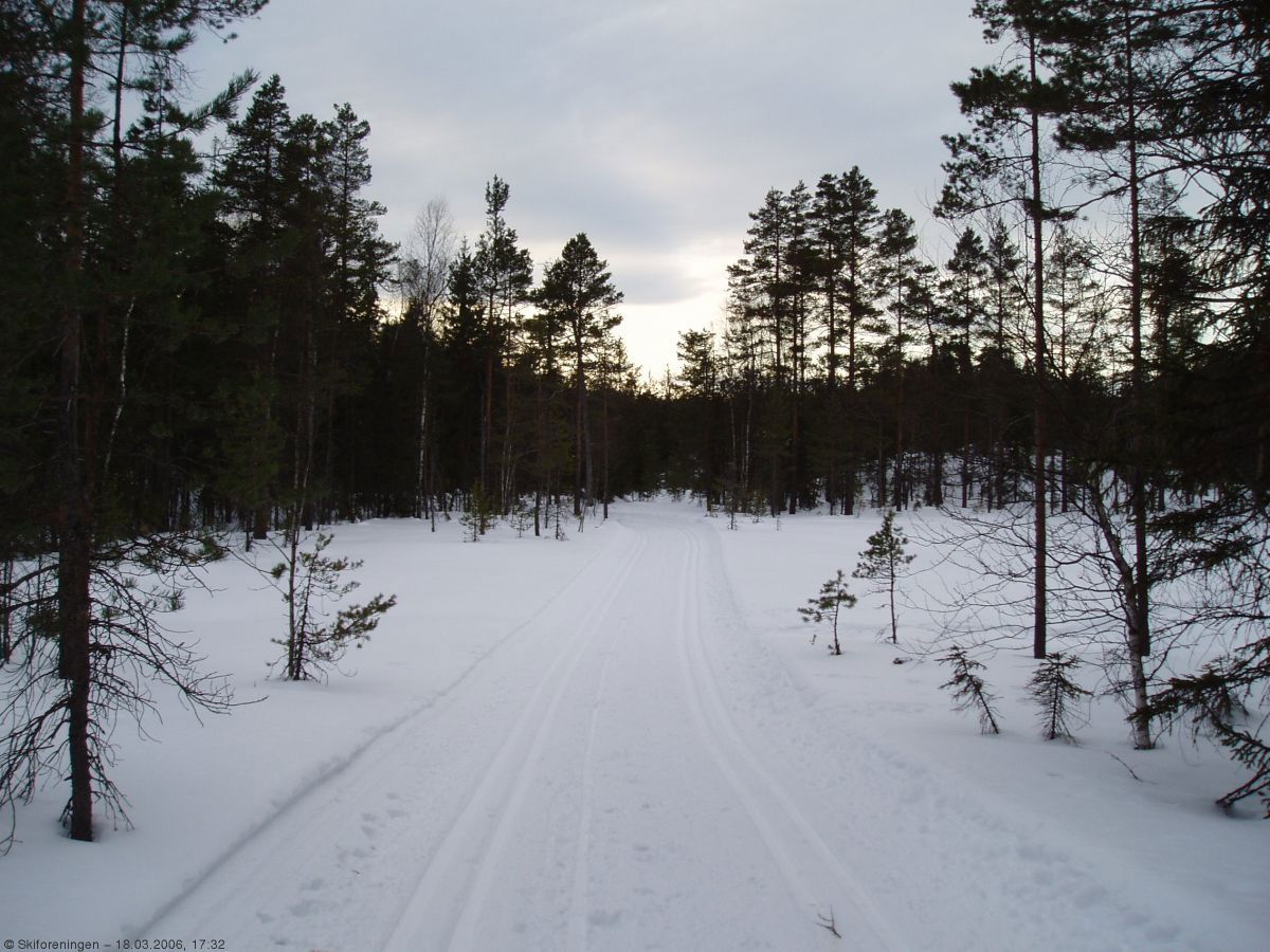 Kveldstur på Løkensetermyrene