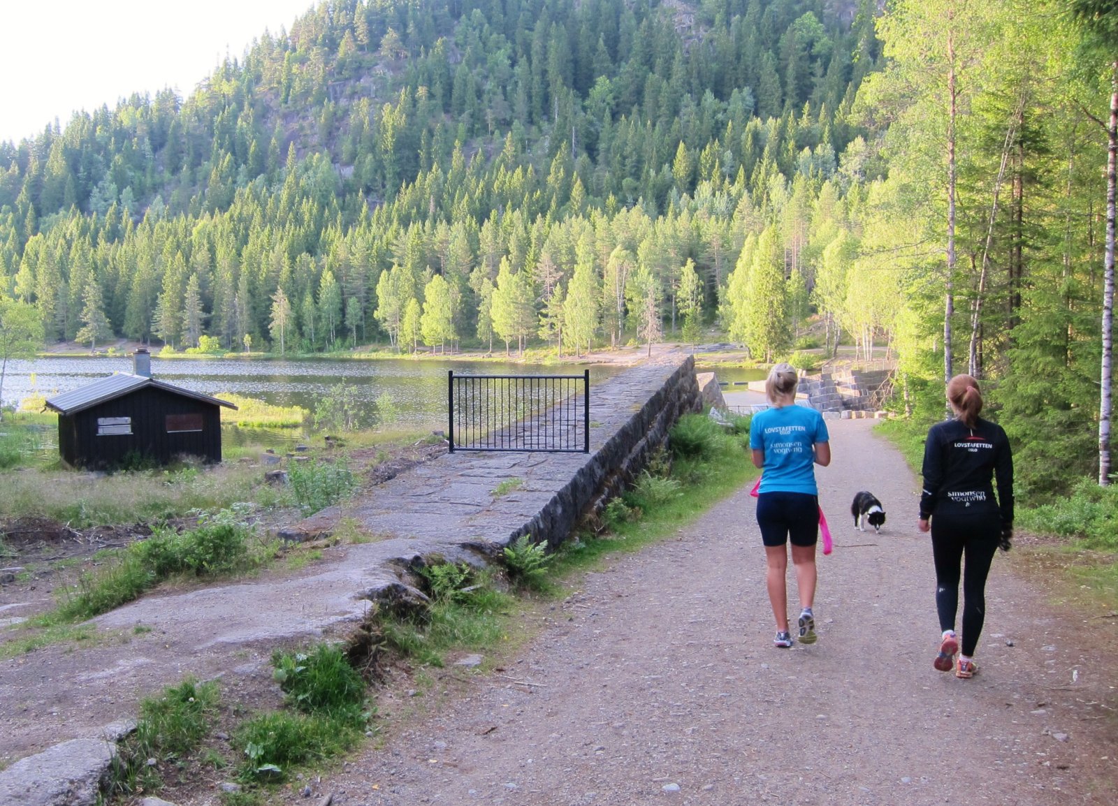 Kveldstur ved Øyungsdammen