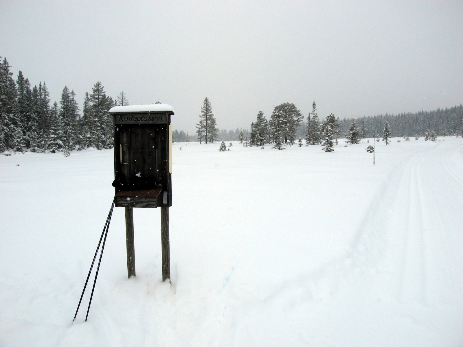 Kvileplassen på Flåmyra