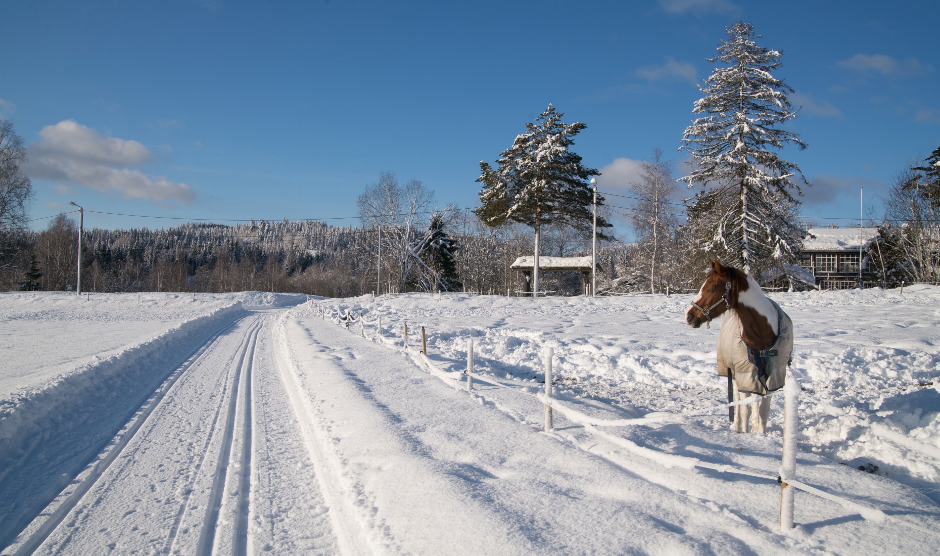 Landlig langs løypa