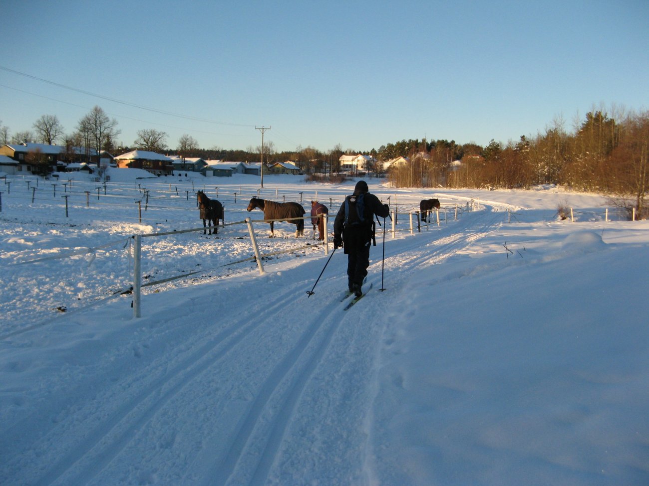 Landlig løype ved Myklerud