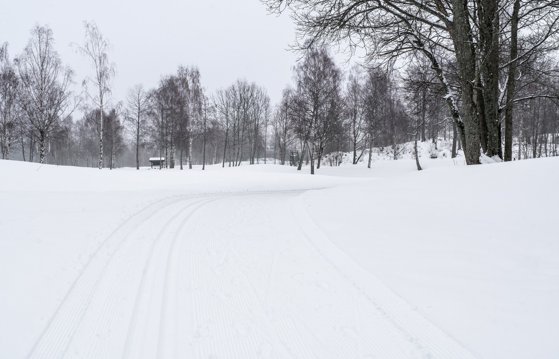 Landskap i svart og hvitt