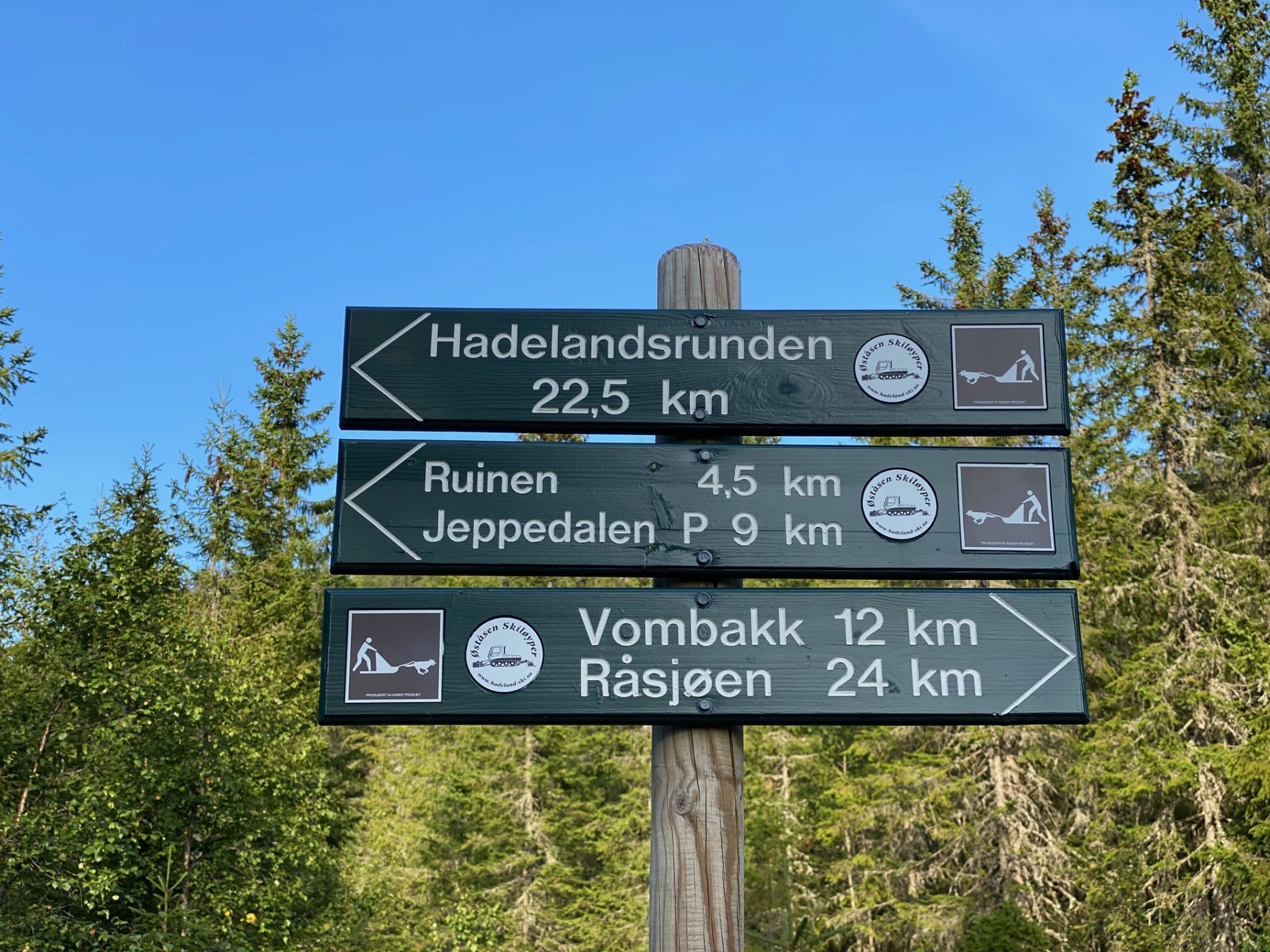 Lange runder for hundespannene