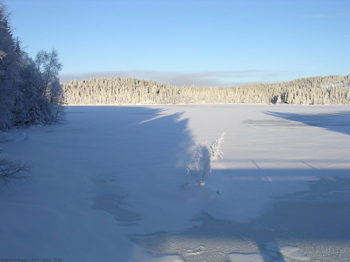 Lange skygger over Skamræk