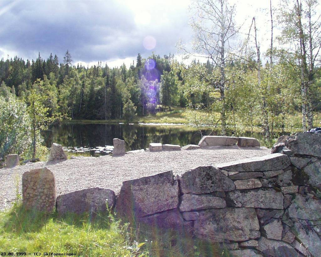 Langebrutjern i motlys