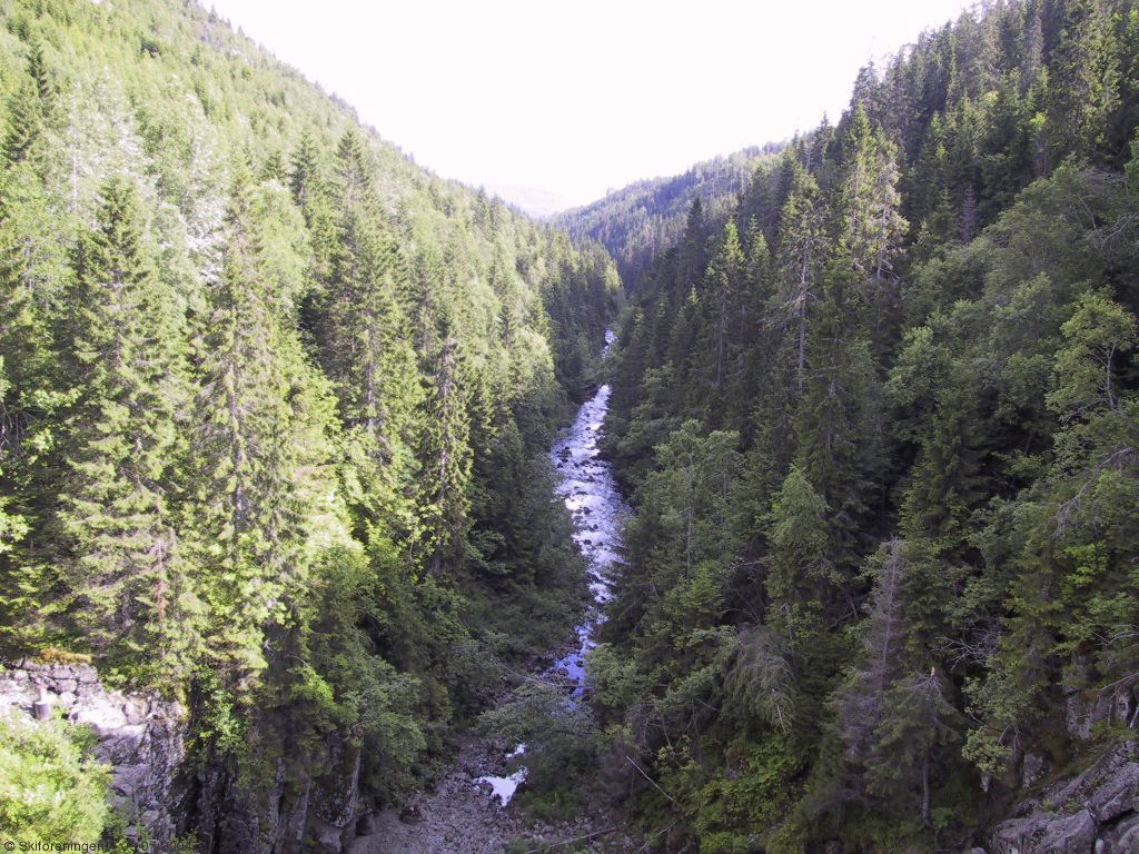 Langlielva i fugleperspektiv