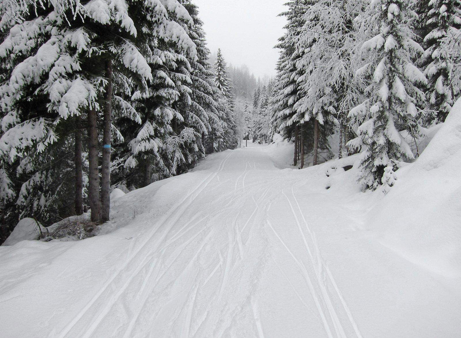 Langs Lille Sandungen