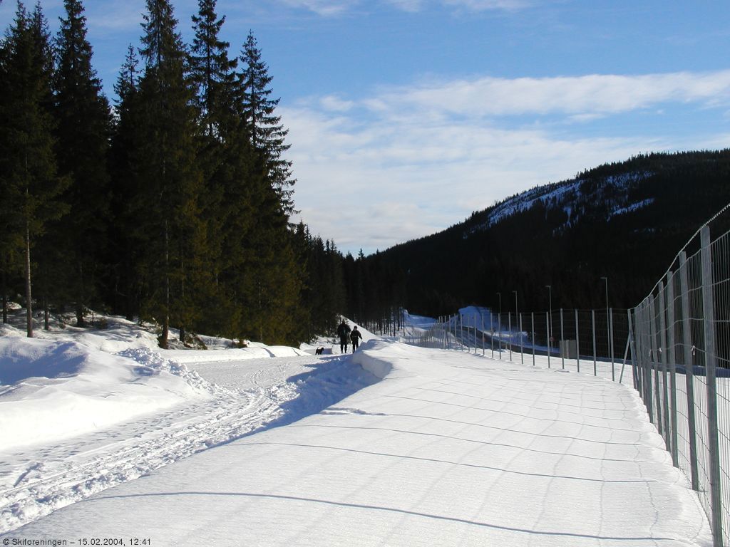 Langs veien mot Bruvoll