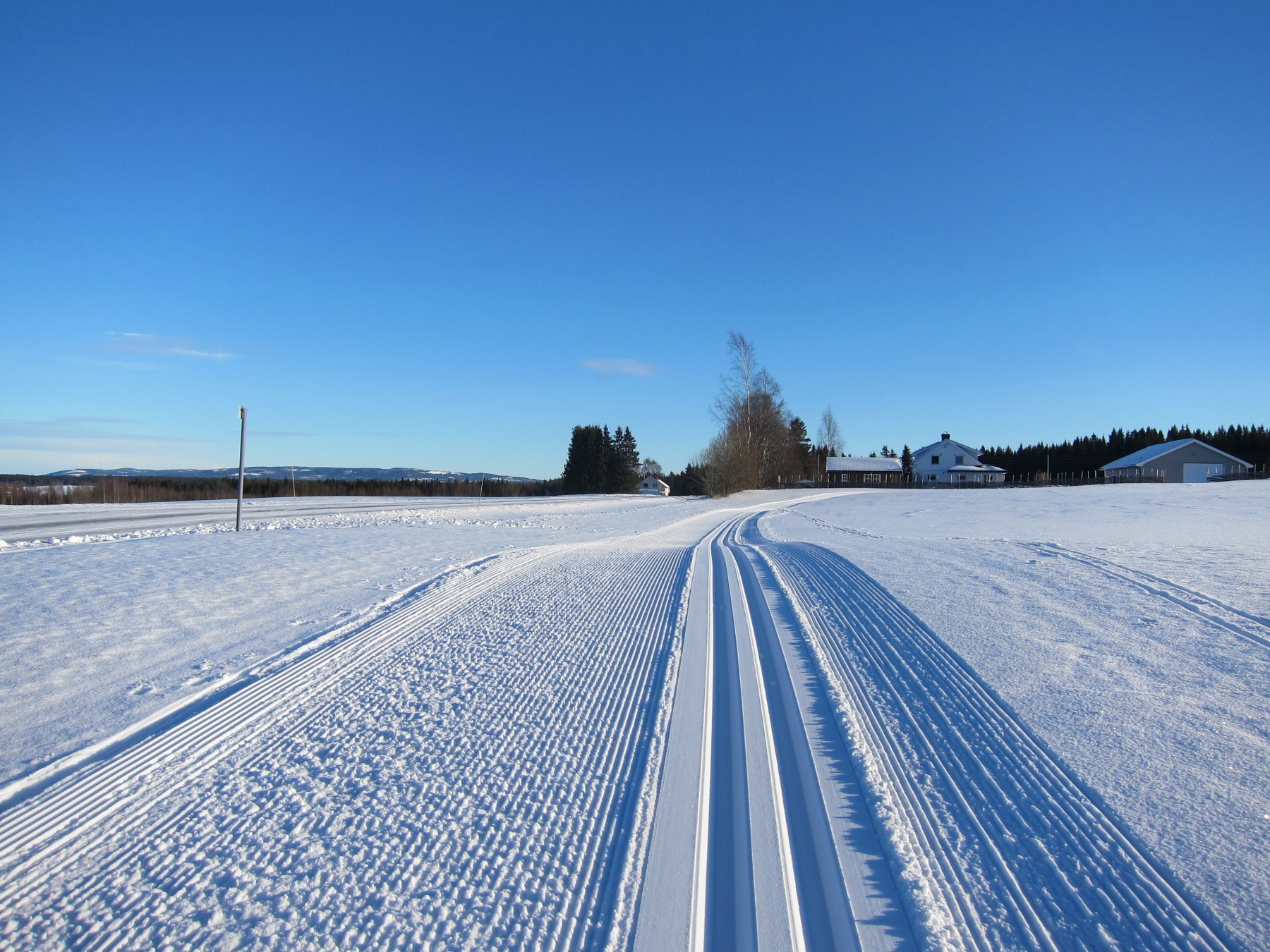 Langs veien - og så til skogs