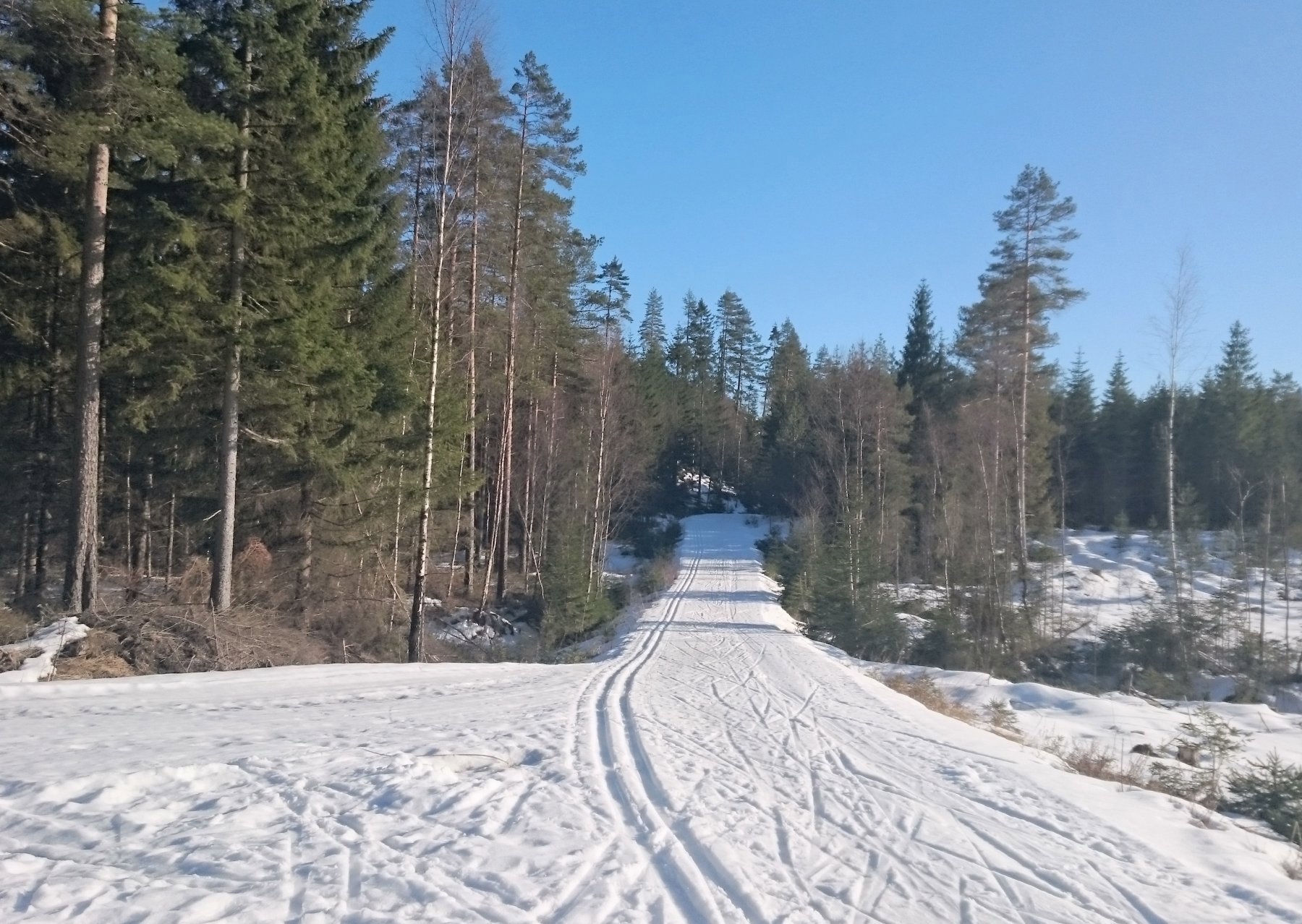 Langt sør i Hurummarka