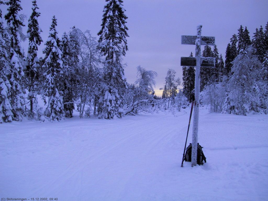 Langt til skogs på Smedmyra
