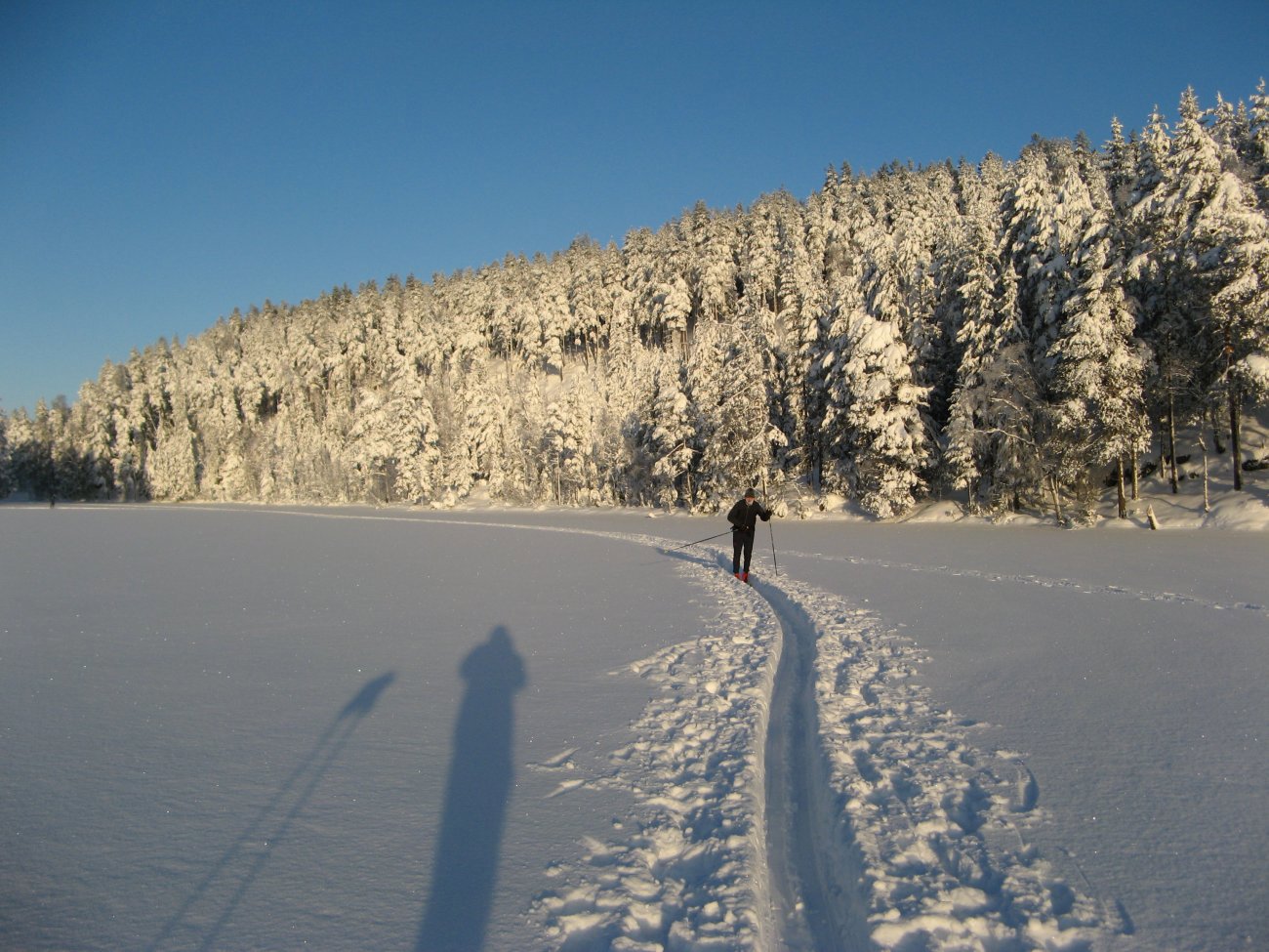 Langvann mot Sotåsen