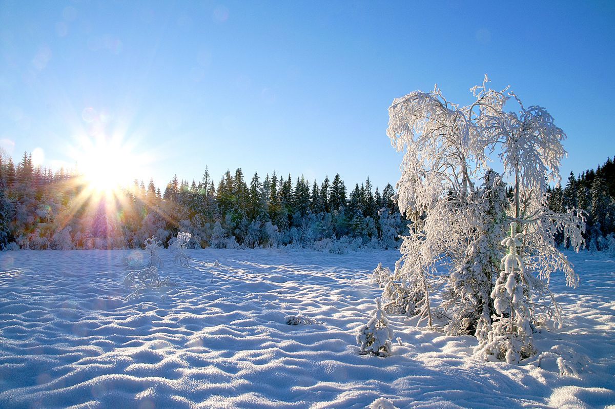 Lav desembersol ved Godtland