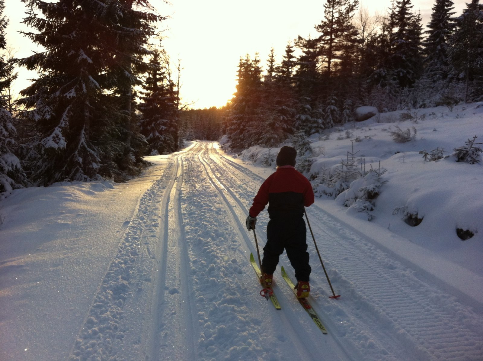 Lav desembersol ved Øvre Holsjøen