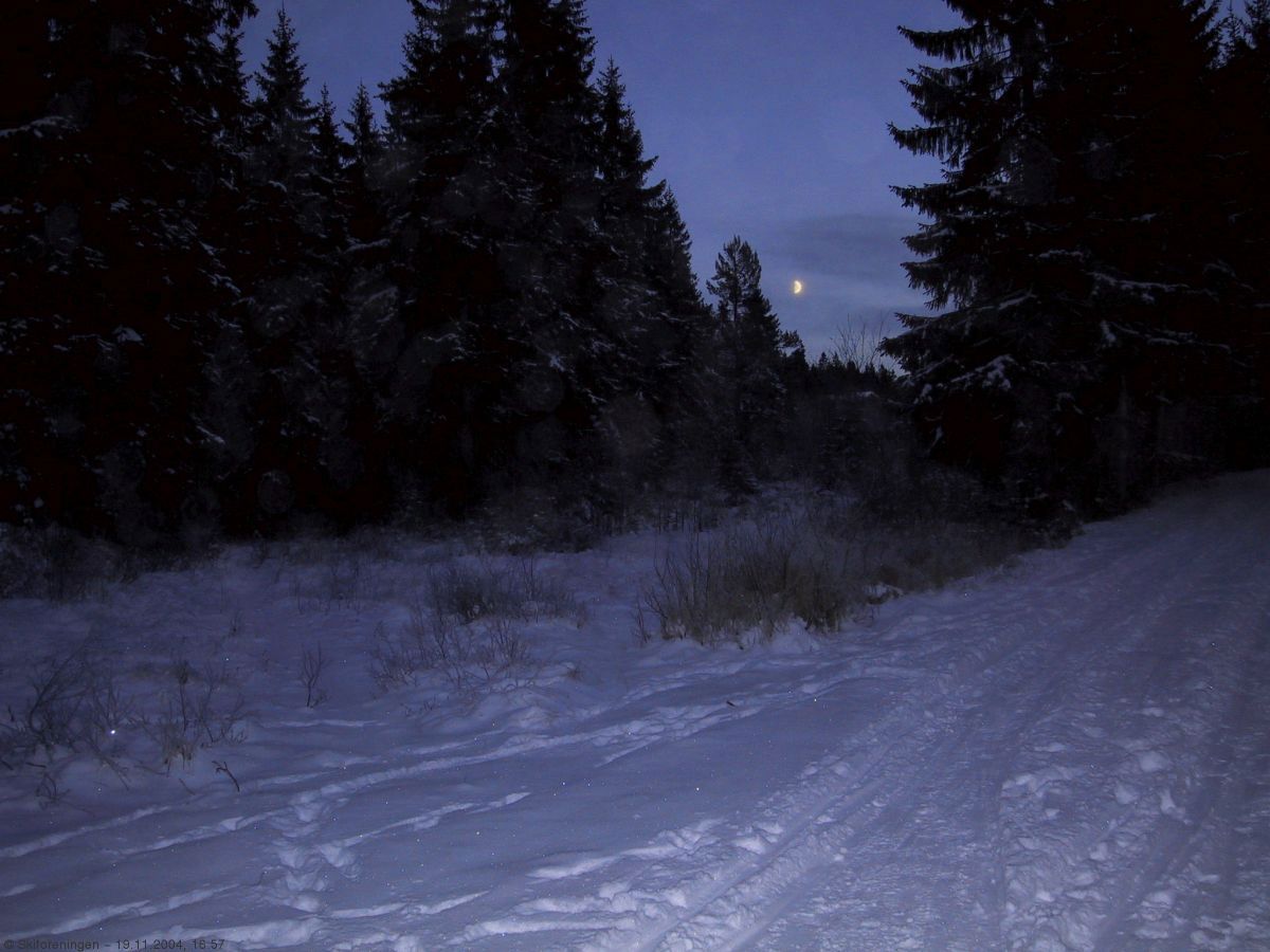 Lav novembermåne over Marimyr