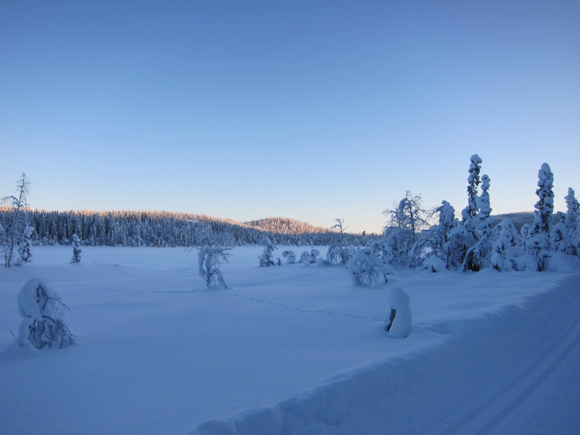 Lav sol over Grunntjernet