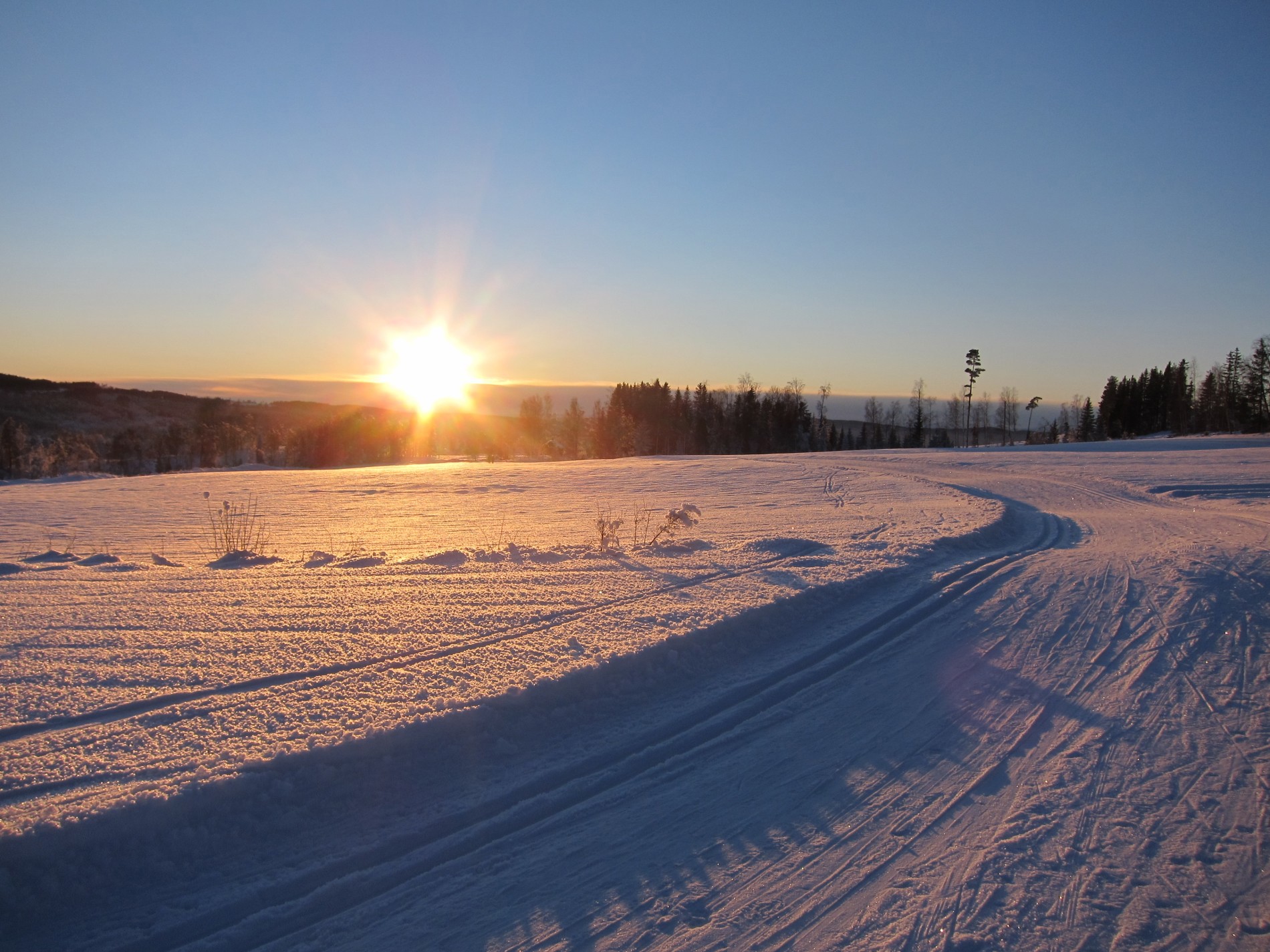 Lav sol over løypa ved Skirstad
