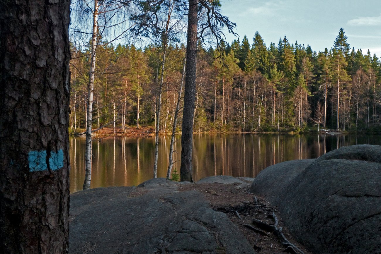 Lav sol over Rundvann