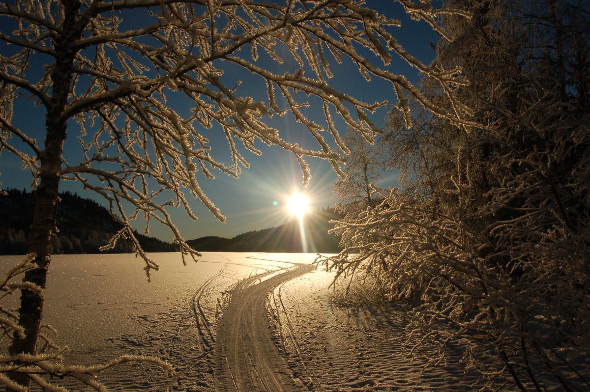 Lav sol på Langpipern