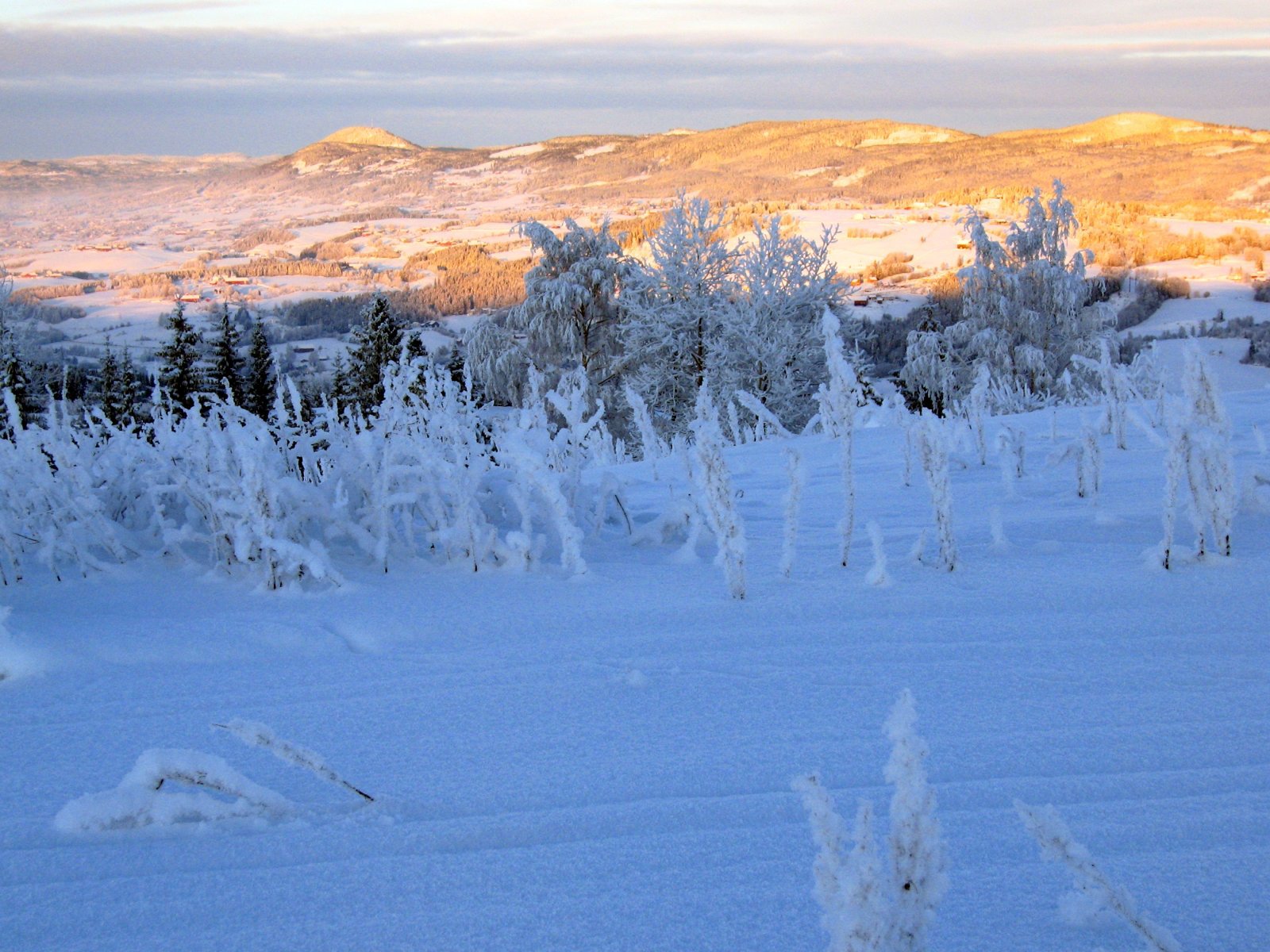 Lav vintersol over Hadelandsåsene