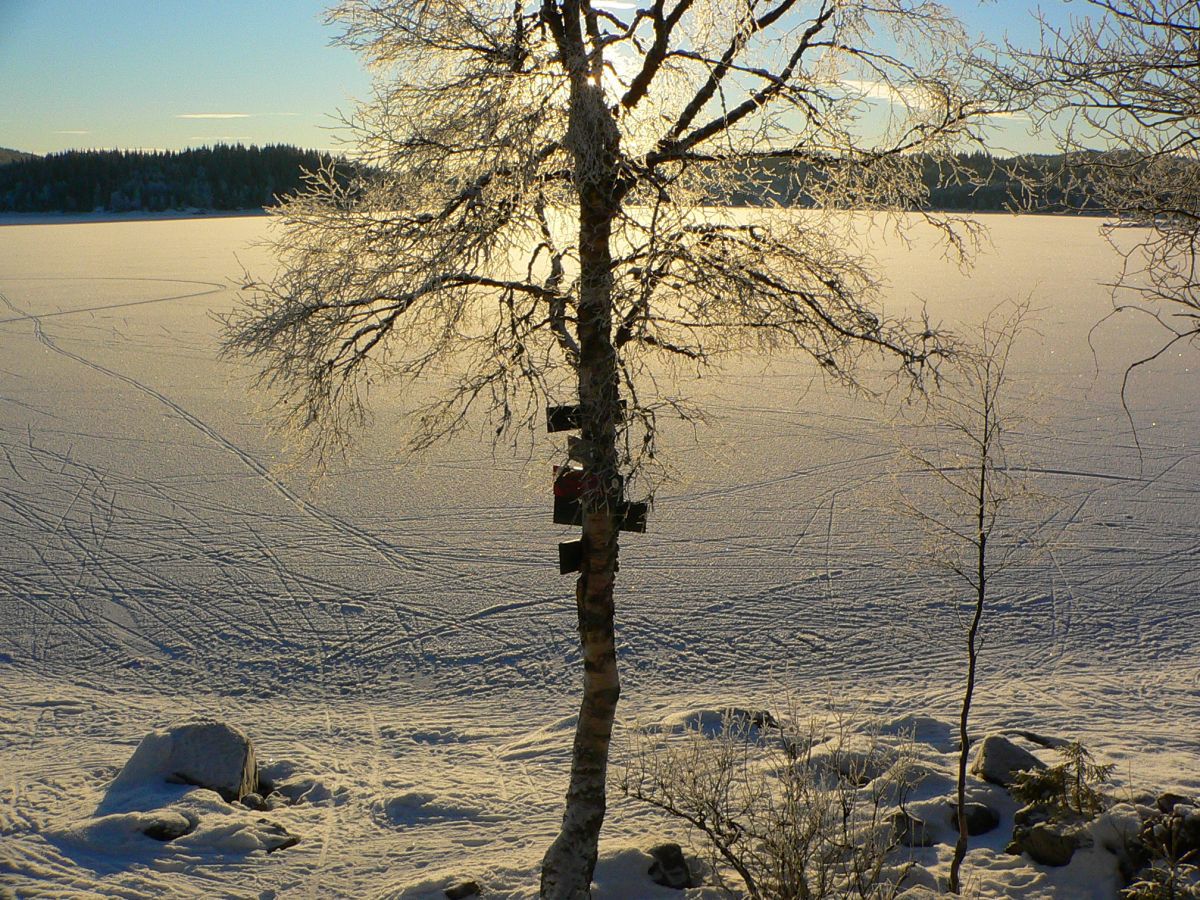 Lav vintersol over Katnosa